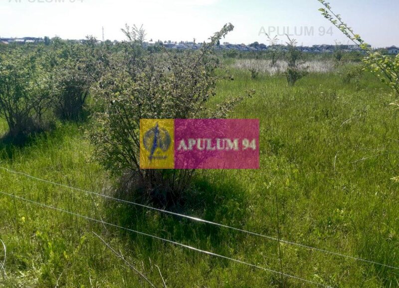 Teren bun mare si ieftin